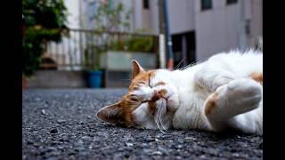 2026年ももう残り半分を切っているという事実