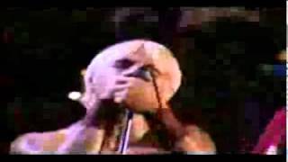 Red Hot Chili Peppers  Fire live at Woodstock 99.avi