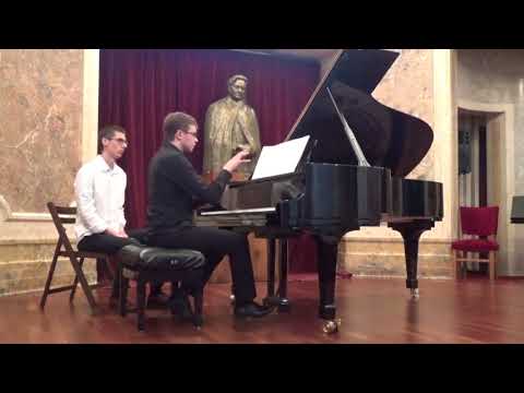Alin Chelarescu: Gisicgeis Sonata