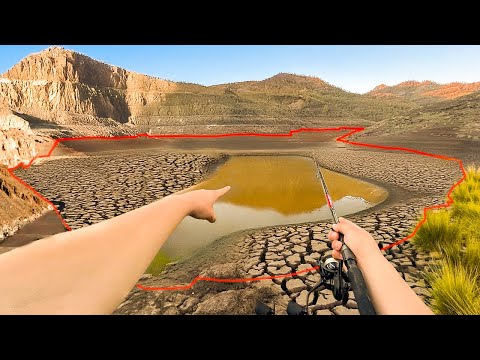 Fast ausgetrockneter See : hier stapeln sich tausende Fische!