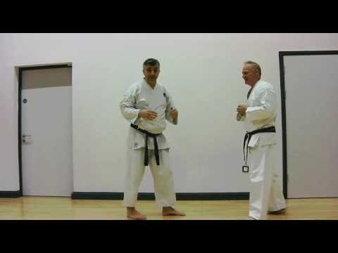 catching a kick Bunkai Strategies 2016 week 44 koryu karate oyo jutsu