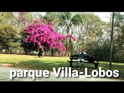 conheça o parque Villa-Lobos em São Paulo