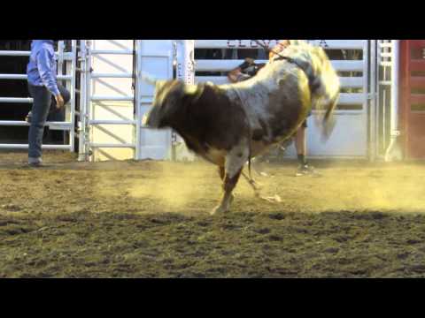 681 Perfect Storm Clovis