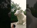 Har Har Mahadev Budhakhol Buguda Viral Shorts Trending Nature