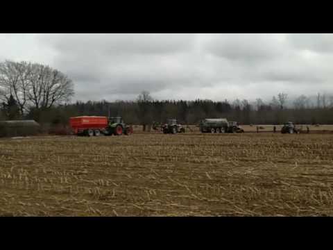 30.03.2017 2xMf 8480, Claas Axion 950, JCB