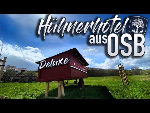 #47 | Hühnerhotel 2.0 aus OSB: Platz für 40 Hühner!