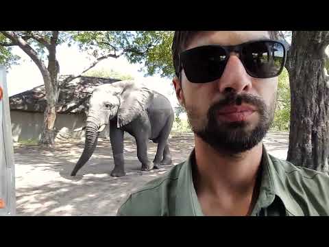 Namibia & Botswana! 4K Video