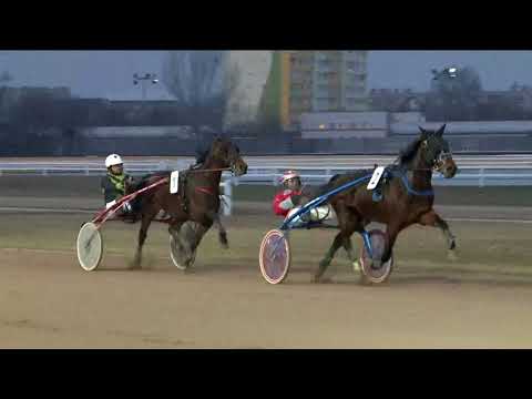 2018.01.28. 5. futam - ÉVNYITÓ DÍJ