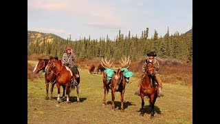 SASQUATCH…..My First Experience