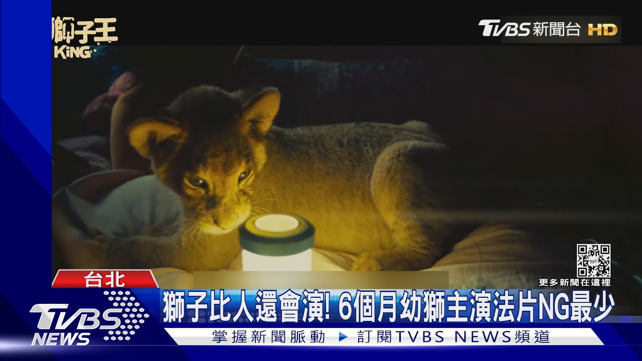 來真的！《小獅子王》找6個月幼獅　與女主角「24小時」相處