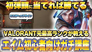 【元最高ランクが解説】ヴァロラントの”エイム”初心者向けガチ講座（エイムの時の手の動かし方、クリアリングの練習方法、マウスを持つときに気を付けるべきことetc...）