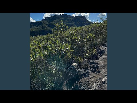 Summoned (feat. Vizcor)