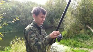 Ссылка