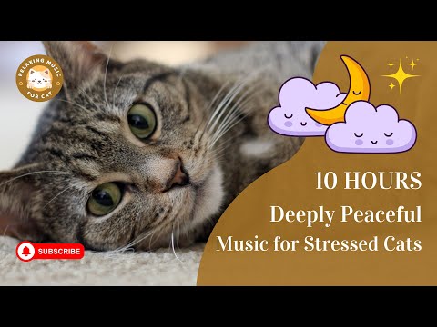 Deeply Peaceful Music for Stressed Cats 10 Hours 🎵 Relaxing Music for Cat 😺