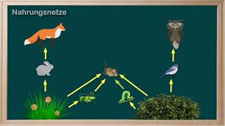 WCLN - Food Webs (GE) - Nahrungsnetze