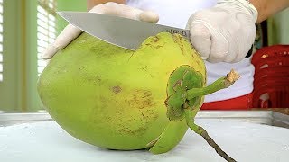 Two Ways of Coconut Ice Cream Rolls