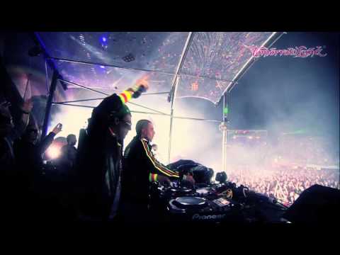 Dimitri Vegas & Like Mike - Did we Smash your House in 2011?