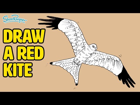 HOW TO DRAW A RED KITE in flight with step-by-step...