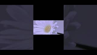 【#だから僕は音楽を辞めた】【#ヨルシカ】【#shorts】 プロフよりYouTube fullへ飛べます！  #ヨルシカ  #初音ミク #anime #キタニタツヤ　#盗作再演　#盗作live