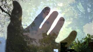 robert wyatt - at last i am free