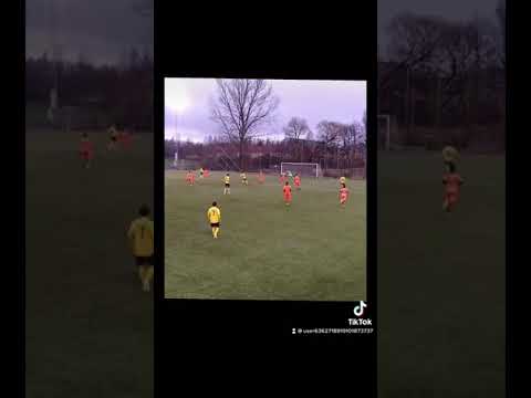 some of the highlights 2022 Anel Bravo 2003 , FWD , club BK Forward Sweden