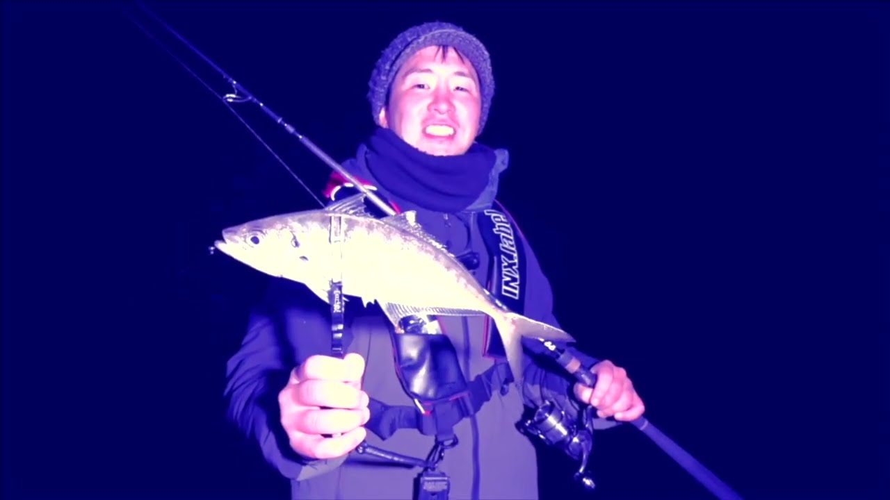 【1.5gのジグ単から3号エギまで！？】ミドルゲーム対応ロッド「エルマーベラ88」実釣インプレ【INX.label】