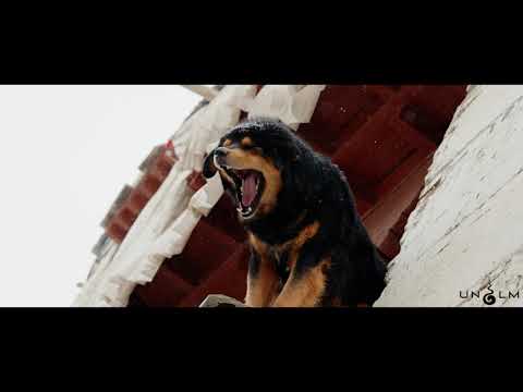 BEHIND THE SCENES / NEPALI HIMALI - @DEEPRAX @ShereyGang