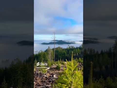 Country Therapy With Toby Keith Music 🎶