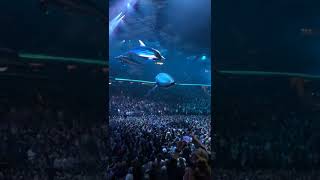 Holographic Show MSG #show #amazing #news #fun #bluebeam
