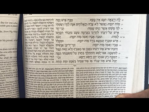 Jerusalem Mincha Afternoon Prayer & Torah 17/02/20