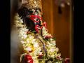Kali Puja Status Video 2024 ️ Coming Soon Maakali Kalipuja Shorts Viralshorts Trending