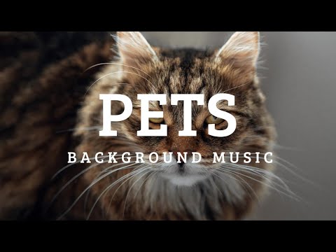 Pets Background Music | Funny Free Music