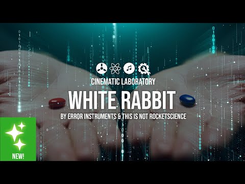 Error Instruments White Rabbit - experimental reverb and | Reverb