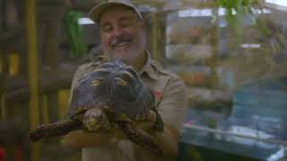 Sesame Street: 10 Turtles