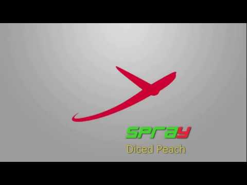 Spray optical sorter used for diced peaches | RAYTEC VISION SpA