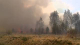preview picture of video 'Подмосковные торфяники горели 4 мая 2014 года'