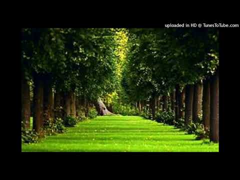 {432Hz} Wavy Melodic Trap Type Beat- Trails (Prod.1tayko x KingsBeats)