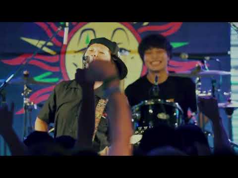 THE SKIPPERS CD12枚セット theskippers STORE