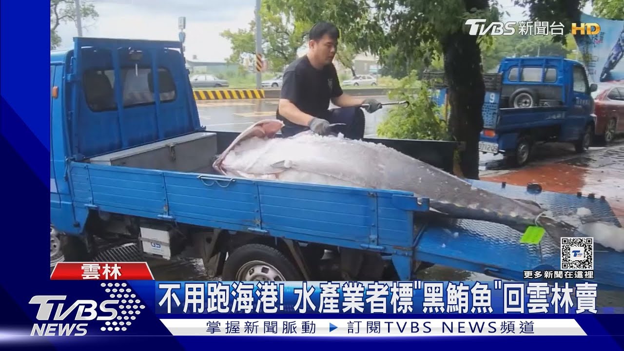 不用跑海港!水產業者標「黑鮪魚」回雲林賣