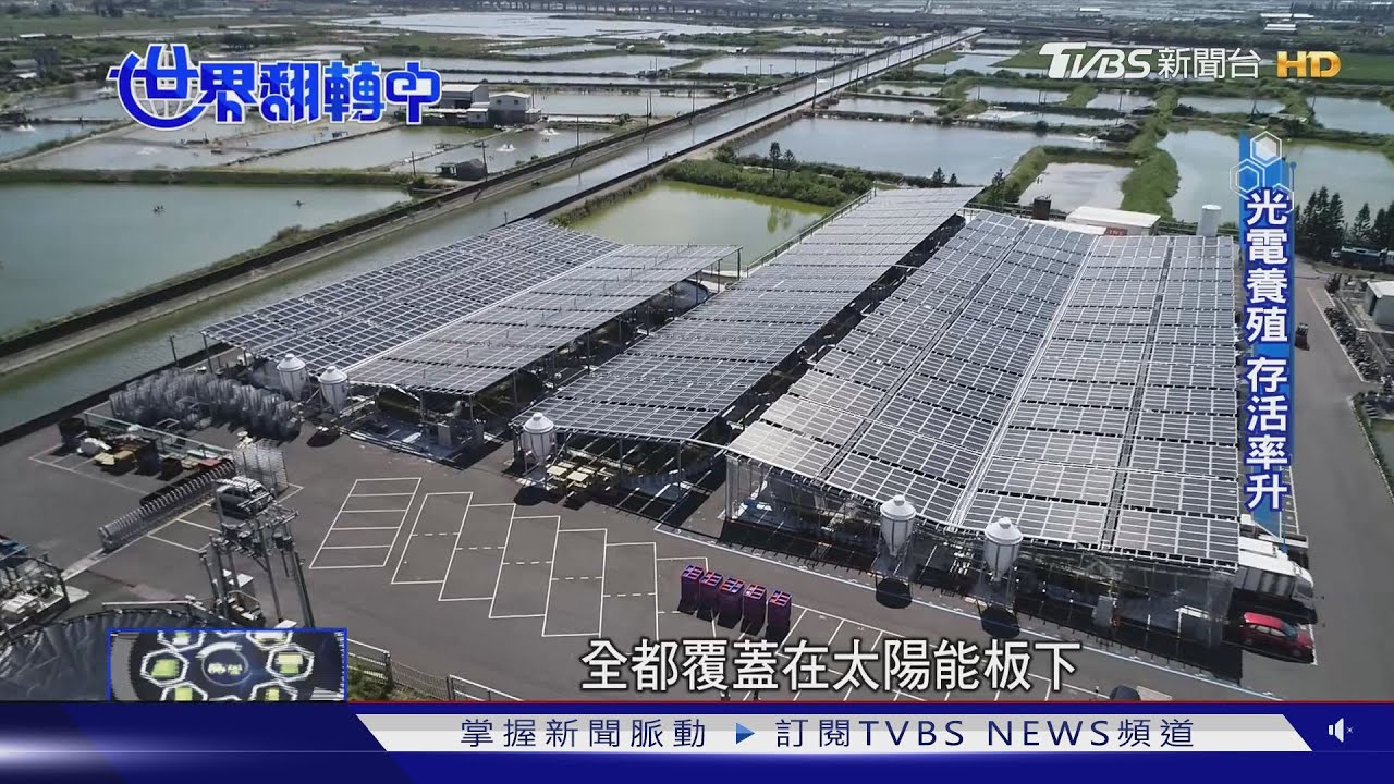 種綠電養台灣鯛 水溫冬暖夏涼收成增22倍