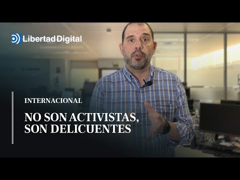 Ecologismo con 'Los girasoles' de Van Gogh: no son activistas, son delicuentes