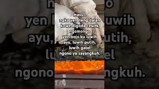 Download lagu bojoku ayu mp3