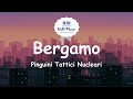 Pinguini Tattici Nucleari - Bergamo (Testo / Lyrics)