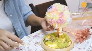 不凋花燈球 制作經歴