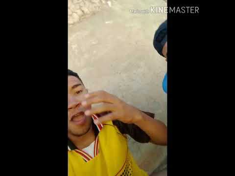 VUC VUC - MELHORES MEMES (vuc vuc vuc)