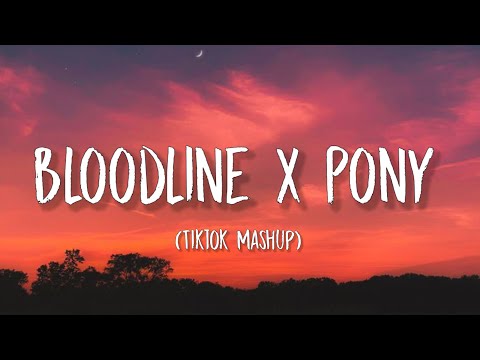 Bloodline X Pony (Lyrics) Tiktok Mashup | Ariana Grande x Ginuwine