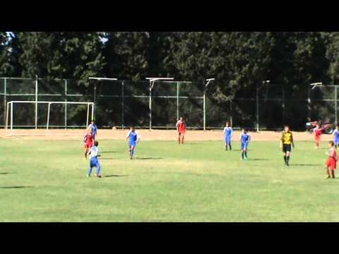 NAŠI TIĆI 24 - DINARA