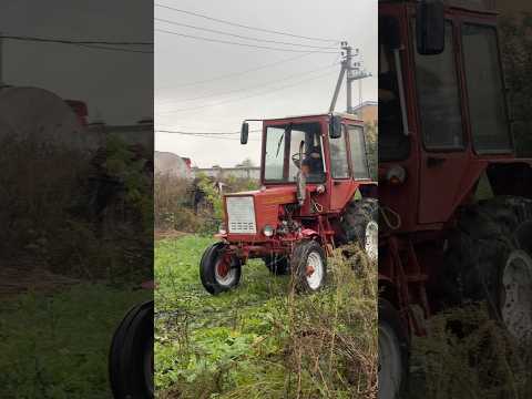Купили трактор т25 для подписчиков 😁