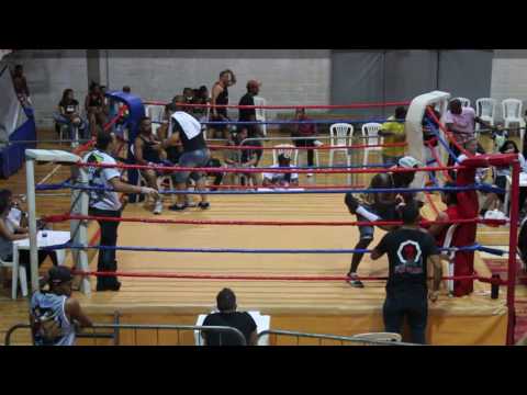 BH Sparta 11 - Dicfarlley x Davidson