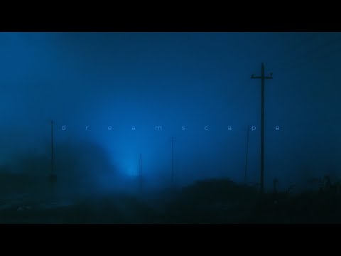 antent, tre flip - hiding place